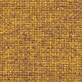 HT0019 var.404